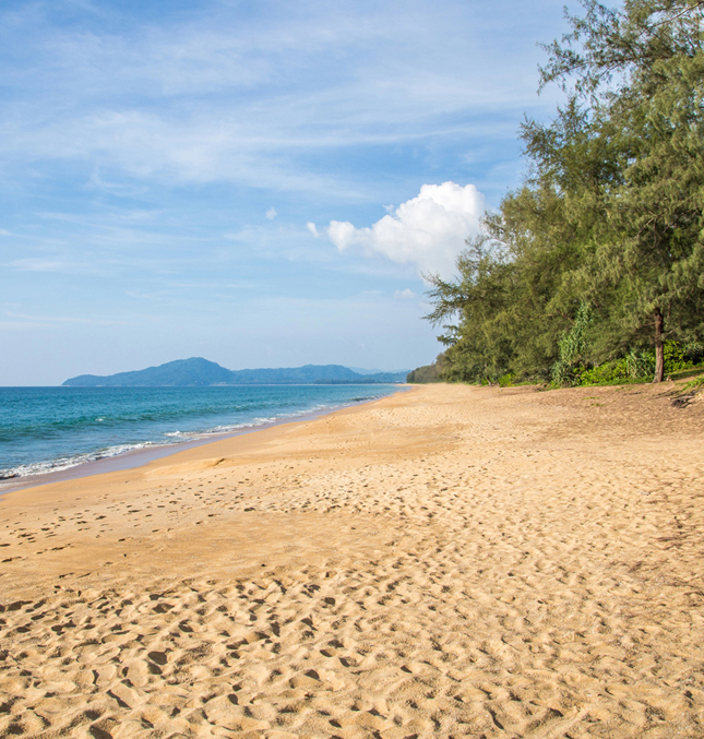 Scene of a beach with ocean on one side and trees on the other.